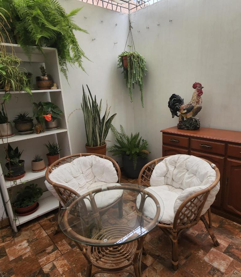 Homestay Casita Cultura *