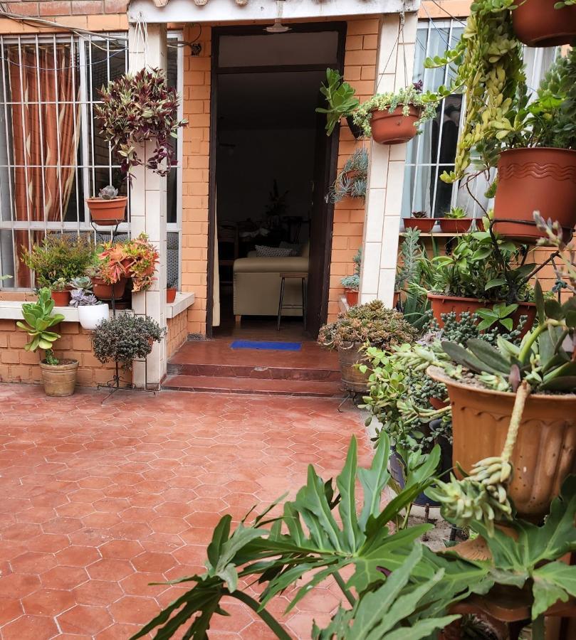 Homestay Casita Cultura