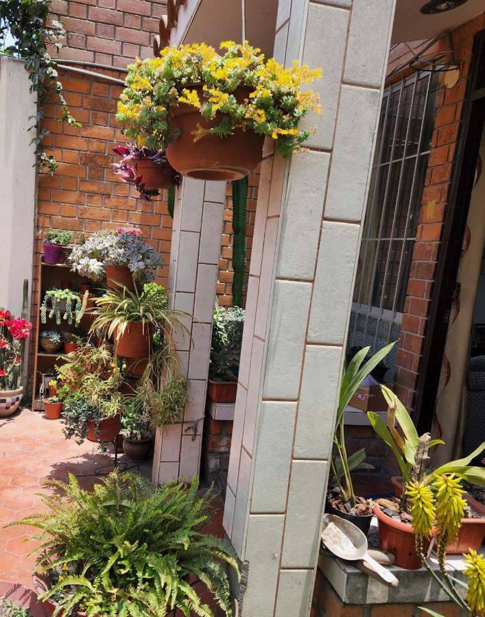 Casita Cultura *